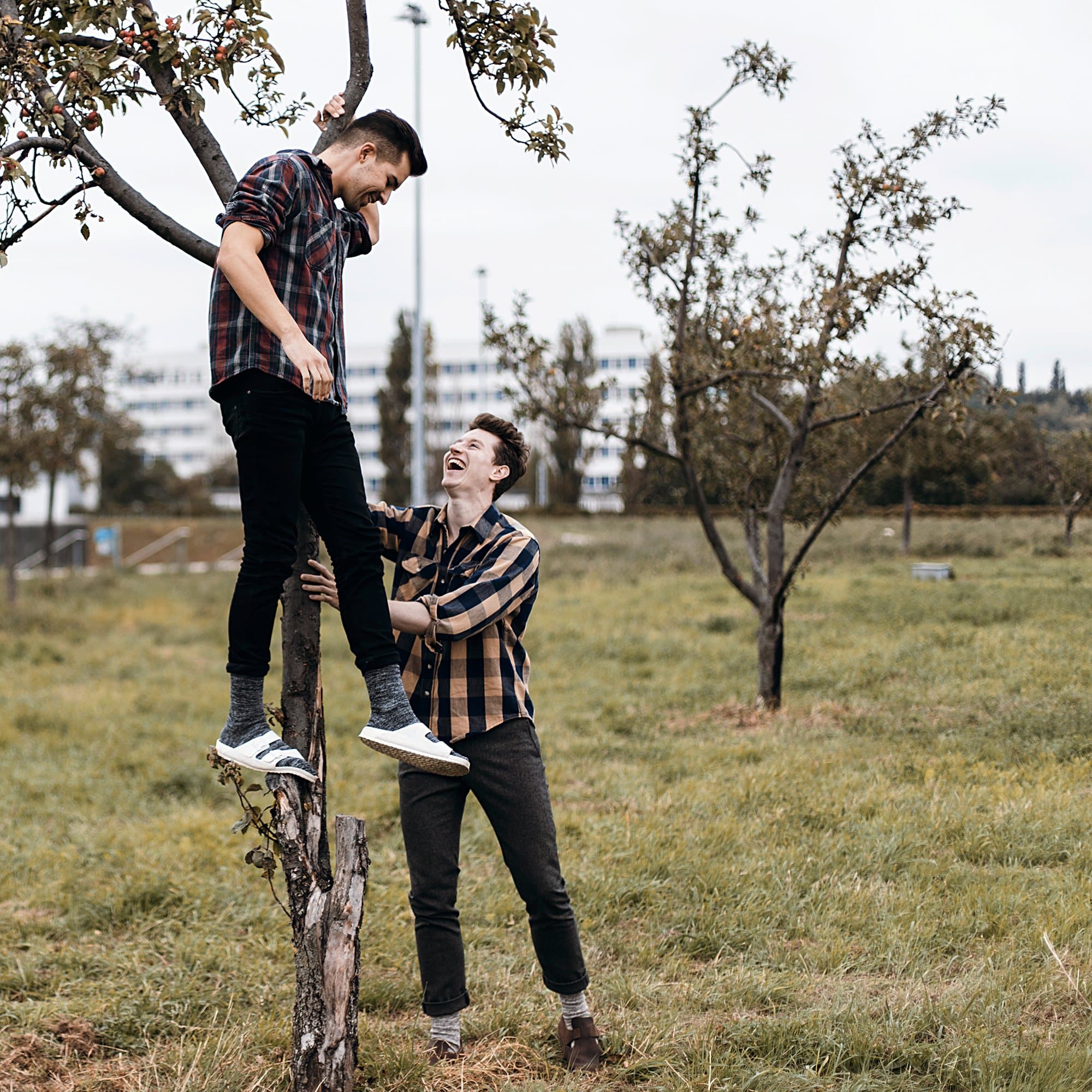 Arizona Essentials EVA